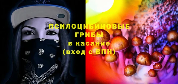 сатива Алексин